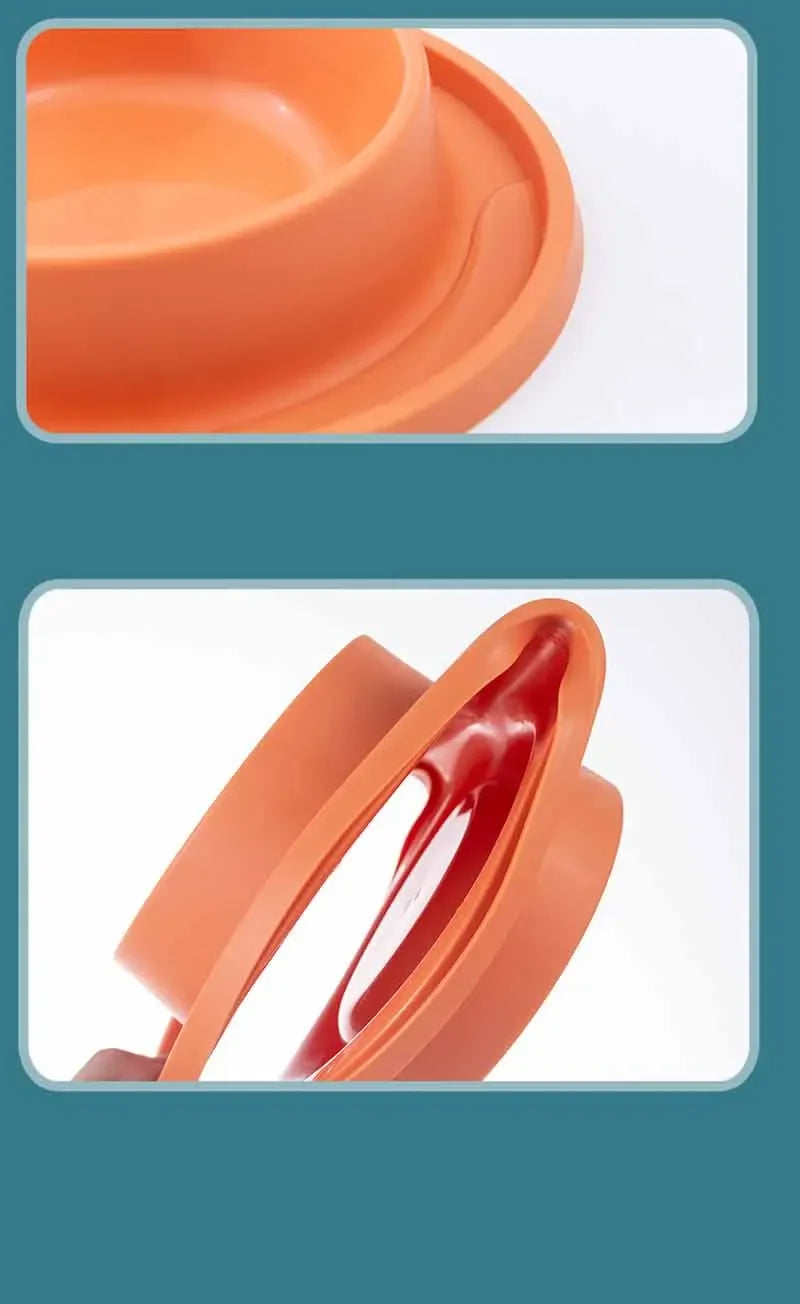 Non-Slip Double Dog Bowl with Slow Feeder Design